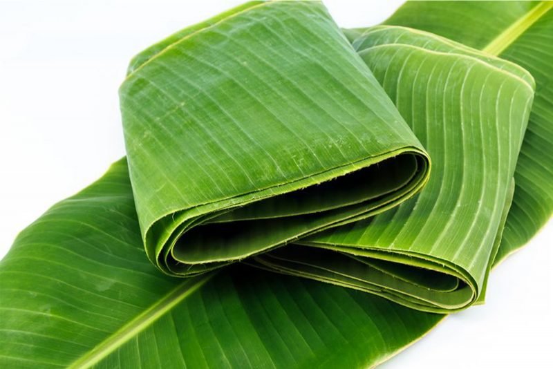 Fresh banana leaves from CV. Sifa Hutama Jaya for food and packaging export