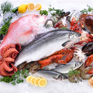 Fresh and frozen seafood export from CV. Sifa Hutama Jaya Indonesia